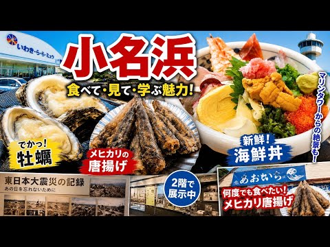 【福島・いわき】「常磐もの」旨い海鮮を求めて小名浜へ！巨大牡蠣とメヒカリ唐揚げを満喫！メヒカリのから揚げがおいしすぎた