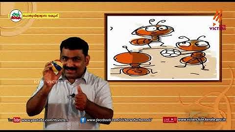 KITE VICTERS STD 02 Arabic Class 02 Unit 03 (First Bell-ഫസ്റ്റ് ബെല്‍)