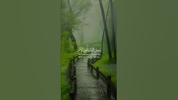 [سُورَةُ هُودٍ: ٤٤]#سورة_هود #رعد_الكردي #surah_hud #قرآن #قرآن_كريم #quran #quran_alkarim