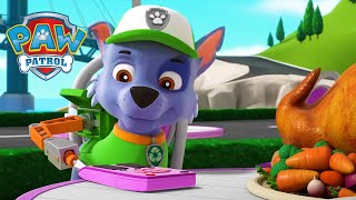 yi zhi ting qi lai xiang gou de mao paw patrol wang wang