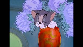 Download Lagu Tom and Jerry, 4 Episode - Fraidy Cat MP3 Download Lagu Tom and Jerry, 4 Episode - Fraidy Cat MP3