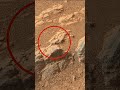 One Photo. One Planet. This Week's Mars. | Mars 4k Video | Mars In 4k | Mars #shorts
