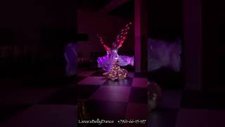 Belly Dance Led Show By Lanara