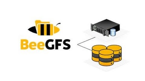 How BeeGFS excels in extreme HPC scale-out environments