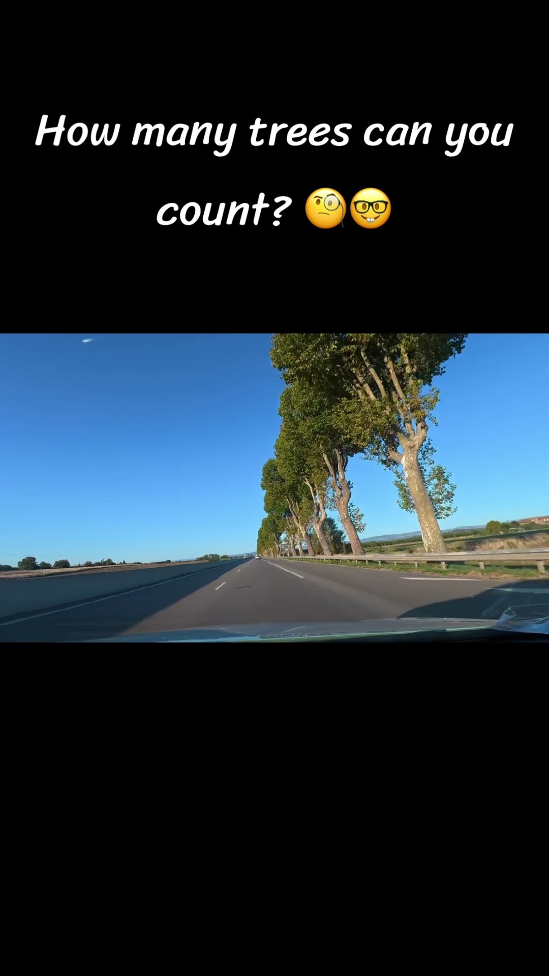 How many plane trees? Drôme, France 🇫🇷 count them if you dare #Drôme #France #4KDrive