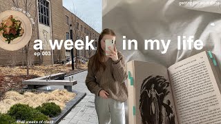 final weeks of the semester | studying at the library, cook with me, grocery shopping