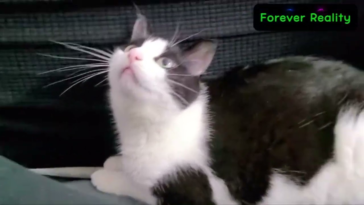 I'm Letting My Kid Experience "Danger" (And It's The Best Parenting I've Ever Done)