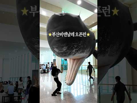 오늘 개막🔥 1만원대로 3곳? 2026 부산비엔날레
