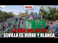 Miles de béticos tiñen Sevilla de verdiblanco en la celebración de la Copa con los jugadores I MARCA