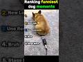 Ranking most funniest moments