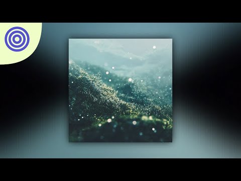 Lotus Garden - Velvet rain
