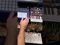 let's go!  #Jamuary26 #jamuary2026 arps and bleeps #synth #infn8loop #synthesizer #synthmusic