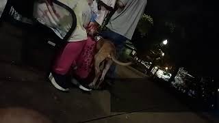 Downtown Knoxville Live Cam! gay street bars clubs, IRL streaming