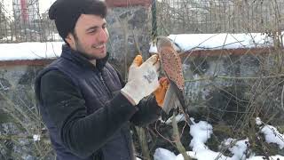 🦜PAPAĞAN GİBİ ATMACAYI SALMAK İSTEDİK AMA NELER OLDU GÖRÜN  ❗️