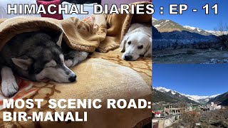 Pet friendly hotel in Manali | Bir-Manali