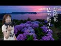 「朝日と紫陽花」はハーフND使います♬そのほか私の撮影法