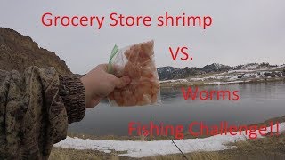 Shrimp vs worms trout fishing challenge