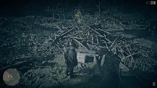 RDR2 Online Southern Roanoke Treasure Location - RDO Sudliches Roanoke Schatz Fundort