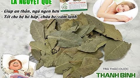 Lá Nguyệt Quế - Công dụng của lá nguyệt quế
