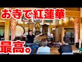 お寺で鬼滅の刃の「紅蓮華」弾いたら、最高だった。