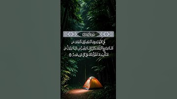 القران الكريم #تلاوة_هادئة #دويتو #اكسبلور