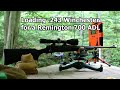 243 winchester  remington 700 adl