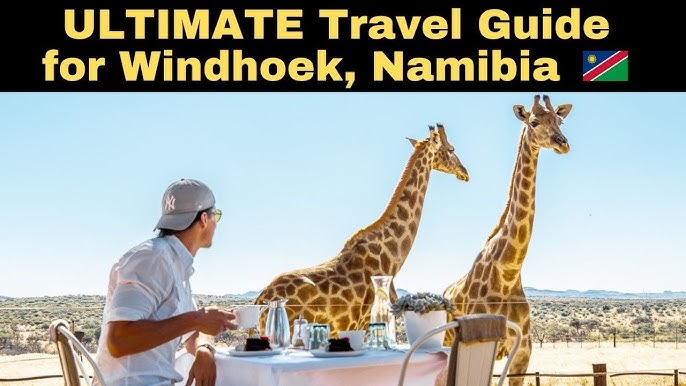 image not described image