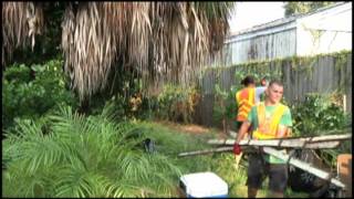 Spotlight Tampa - Code Enforcement Operation WIN