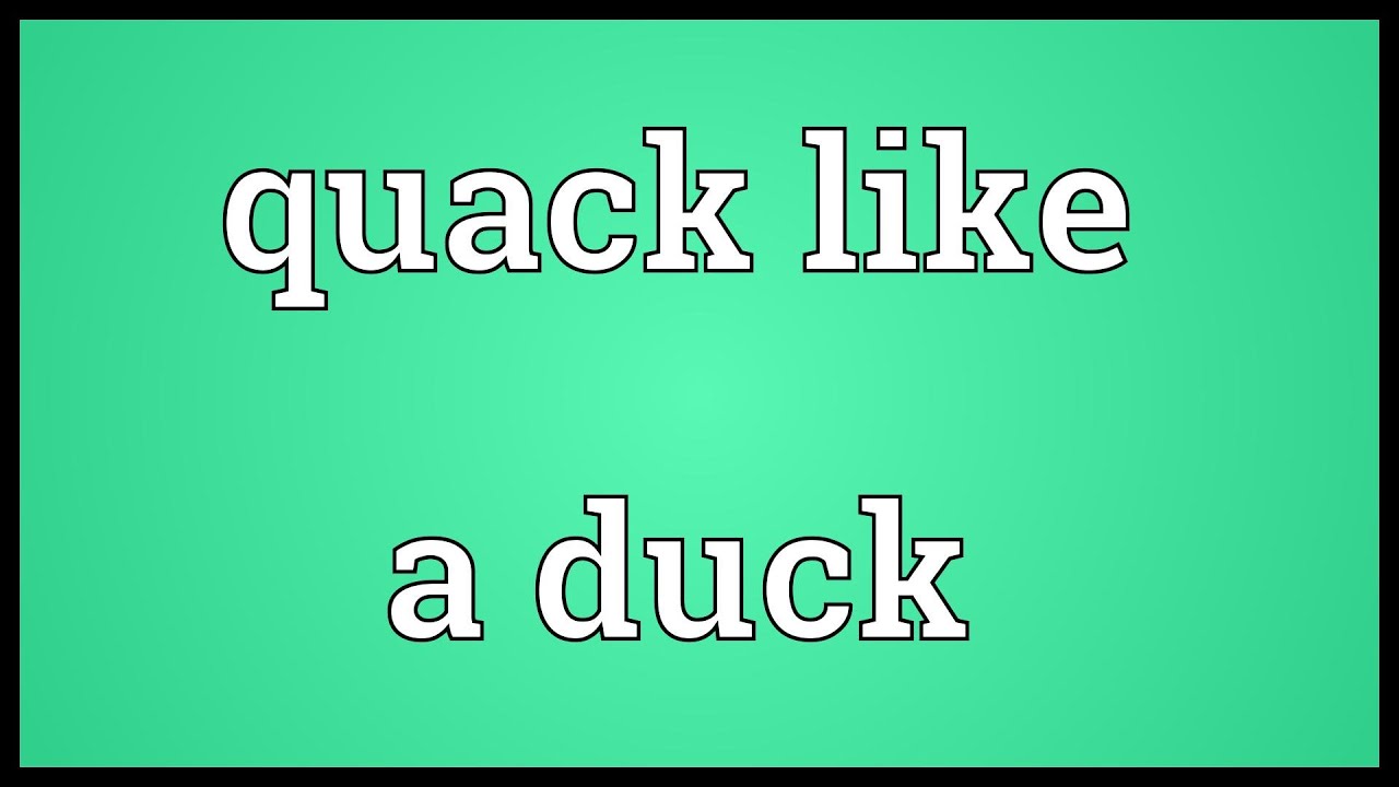 Quack like a duck Meaning - YouTube