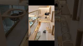 OQUE VOCÊ COLOCARIA AQUI? (PT.3)