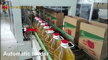 WIN-WIN PACK oil bottles packing machine/Pick and place case packer/Packing machine