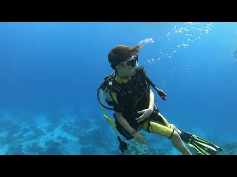Kids diving at Umm Gamar Riff, Egypt [4K]