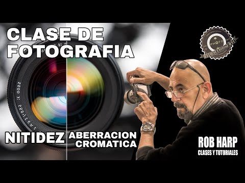 🔍 ¡Dile Adiós