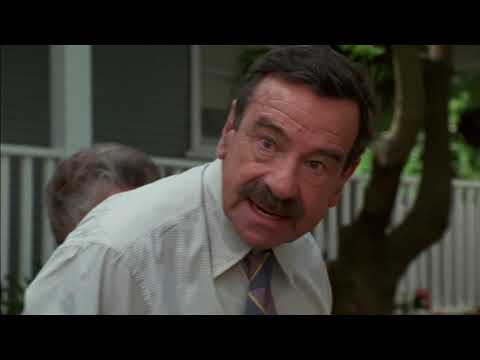 Dennis the Menace - He's A Menace