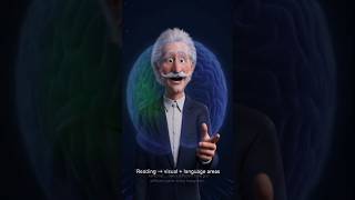 Kia Insan 100% Brain Use Karta Hai? | Real Science Explained 🧠#humanbrain