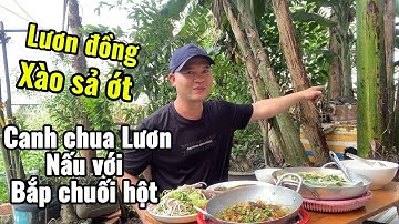 Lươn đồng xào sả ớt, canh chua lươn nấu với bắp chuối hột nhà trồng | cơm chiều | Long Nguyễn vlog 