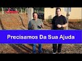 Precismos Da Sua Ajuda, Veja Esse Vídeo Até O Fim