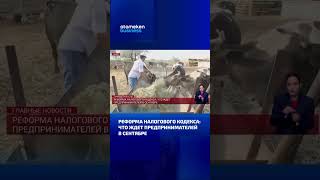Для ИП хотят упростить налоговую отчетность