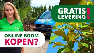 ONLINE kopen? GRATIS levering! YouTube