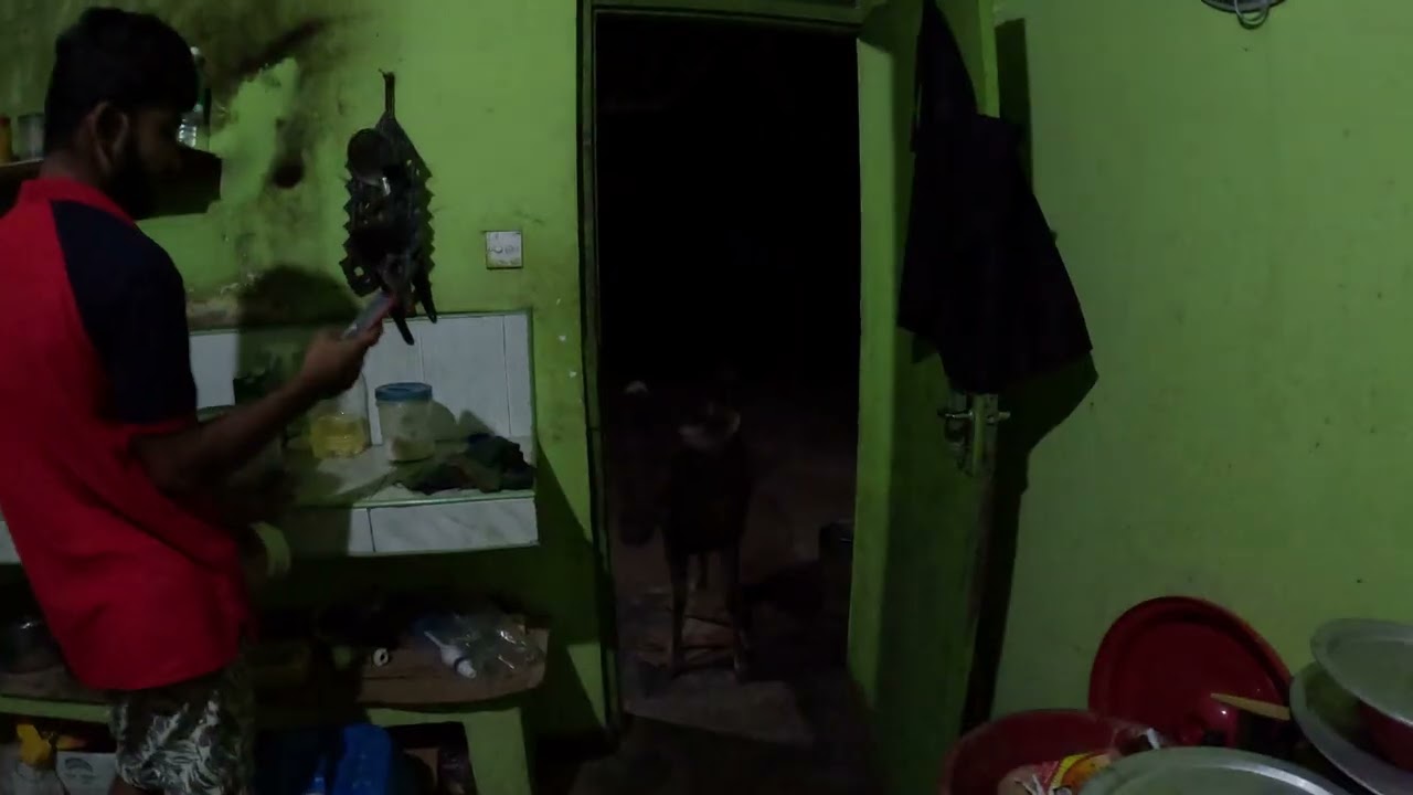 SRI LANKA | Look who came to dinner(it's a bit dark to start with )