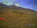 Almond tree fpv