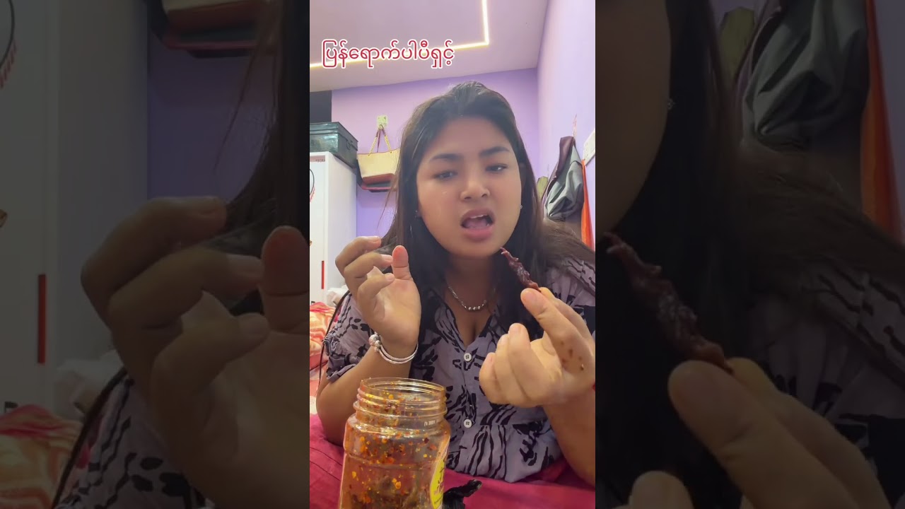 ပြန်ရောက်ပါပီရှင်..