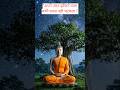 Gautam Buddha pravachana| #shorts#motivation #youtubeshorts
