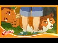 Puppy Adoption Day Lassie Cartoon For Kids VIEWEDkids