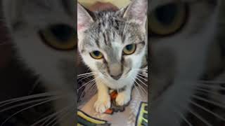 IMG 1629