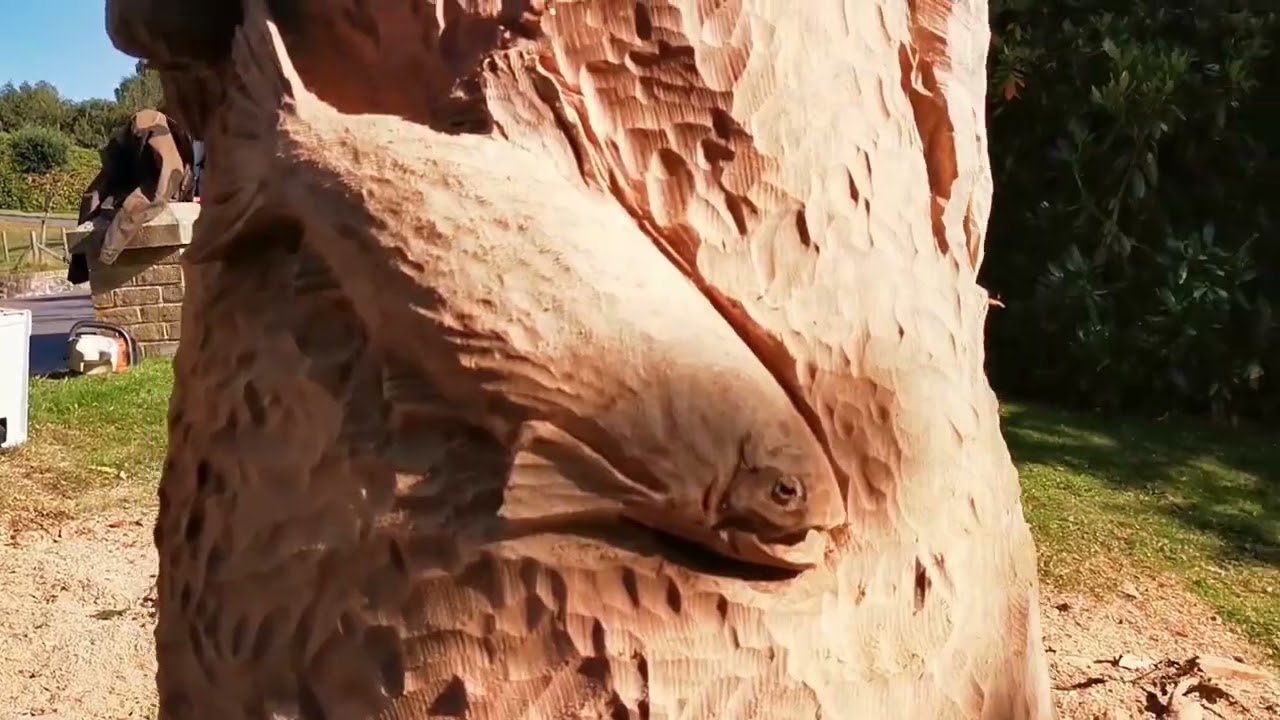 Huge wildlife carving in a tree - 30ft tall!!