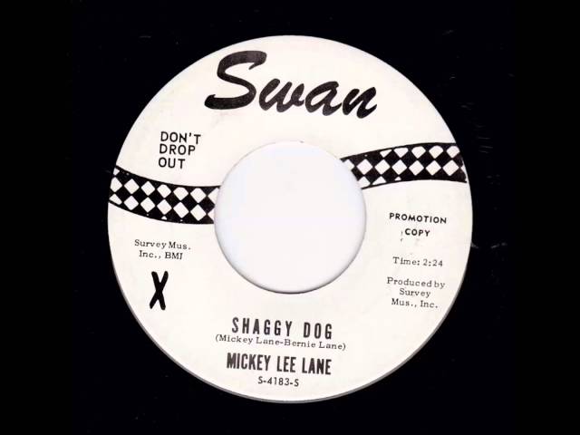 MICKEY LEE LANE - Shaggy Dog