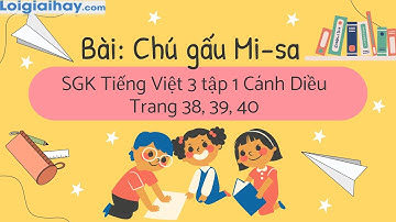 Bài: Chú gấu Mi-sa trang 38, 39, 40 SGK Tiếng Việt 3 tập 1 Cánh diều