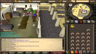 Runescape 2007 -Woot Blue Party Hat-