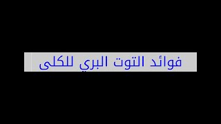 فوائد التوت البري للكلى